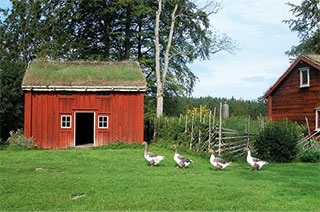 10436_Pussel-Hus-Ankor