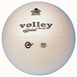 2476_Volleyvit